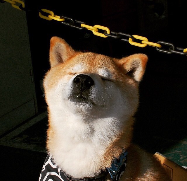 佛罗伦萨长传战术奏效，赢得比赛，佛罗伦萨duomo