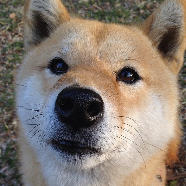 【超智能球场】未来场馆或配备全方位监测与互动系统,智能化篮球场
