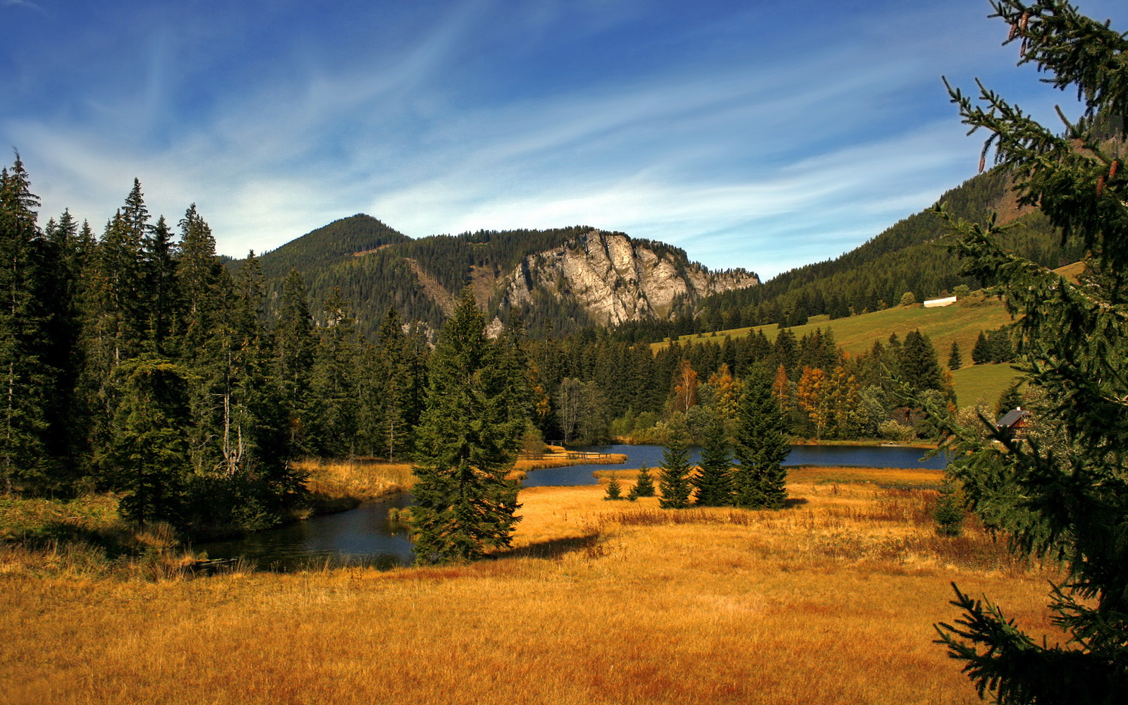 中超联赛本轮出现五粒世界波，中超第5轮