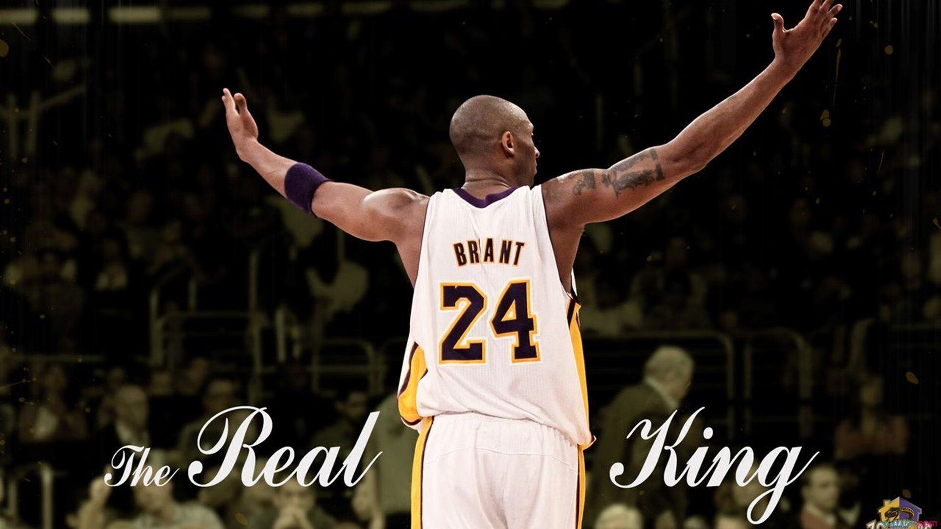 传奇人生：那些用篮球改变命运的故事，篮球人的奋斗史